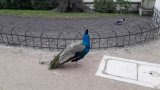 Warszawa da się lubić…